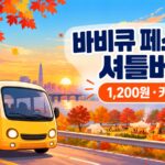 [2026] 서울 바비큐 페스티벌 셔틀버스 시간표｜DMC역·망원한강공원 2개 노선, 1,200원 카드만 (주차장 5곳 요금)
